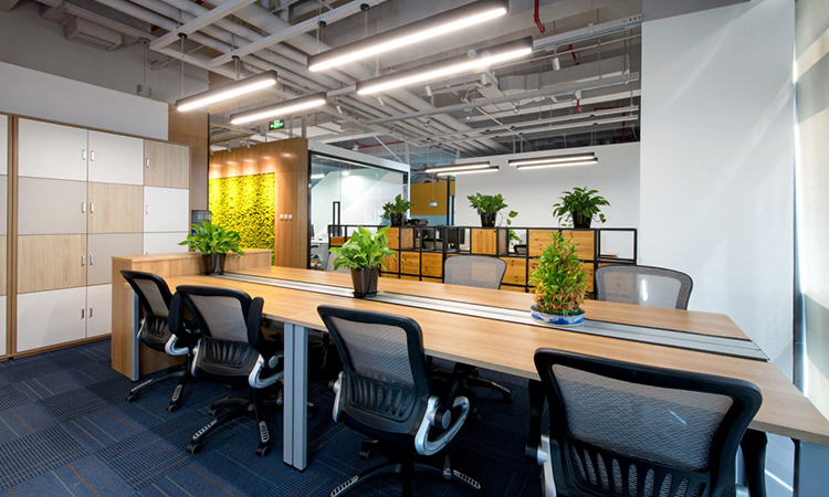 小規(guī)模辦公室品牌裝修設(shè)計(jì)