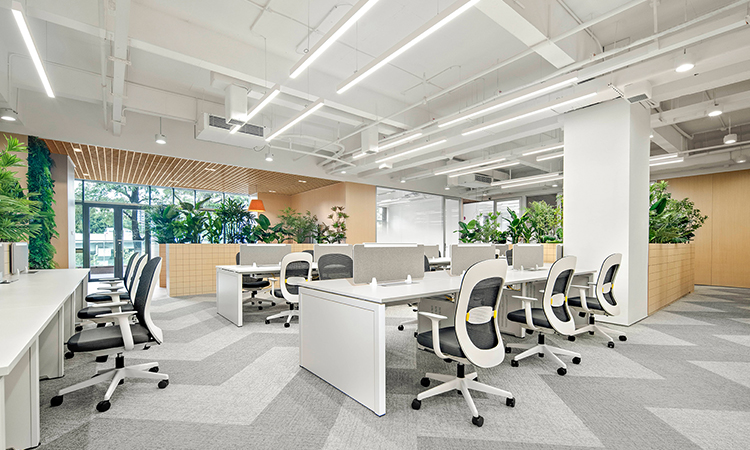 員工辦公區(qū)綠植景觀設(shè)計