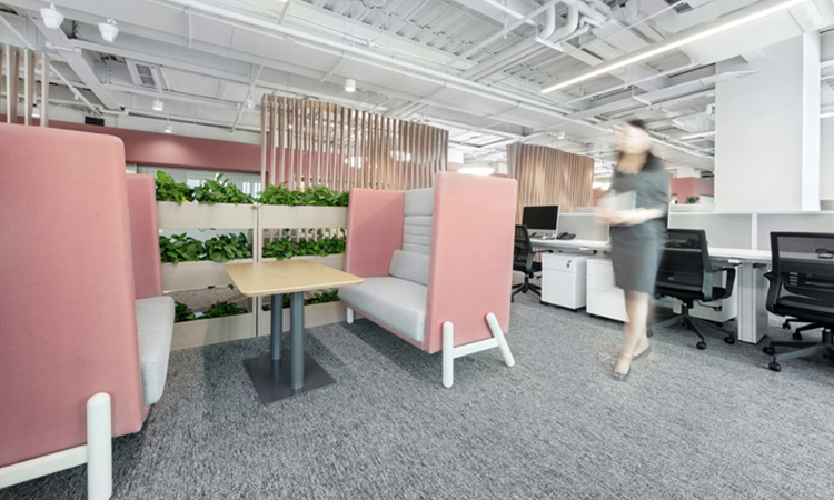 設計師辦公區(qū)